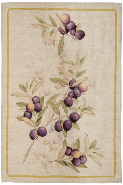 Canovaccio Kactus- Arancia