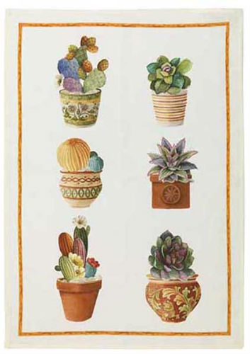 Canovaccio Kactus- Arancia