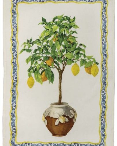 Canovaccio Kactus- Arancia