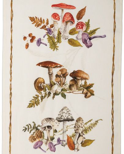 Canovaccio Kactus- Arancia