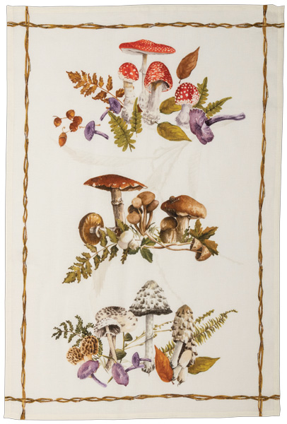 Canovaccio Kactus- Arancia