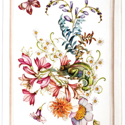 Canovaccio Kactus- Arancia