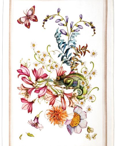 Canovaccio Kactus- Arancia