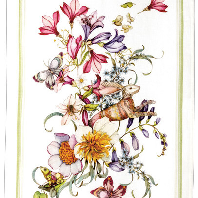 Canovaccio Kactus- Arancia