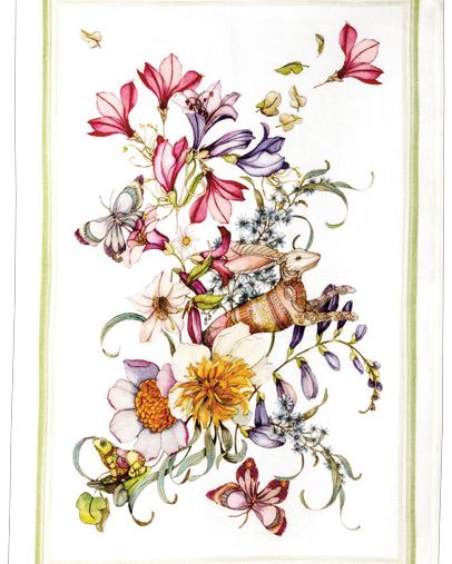 Canovaccio Kactus- Arancia