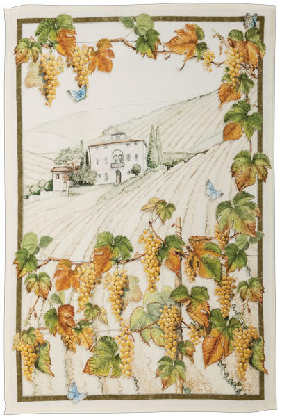 Canovaccio Kactus- Arancia