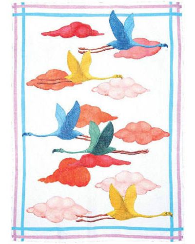 Canovaccio Flamingo - Volo