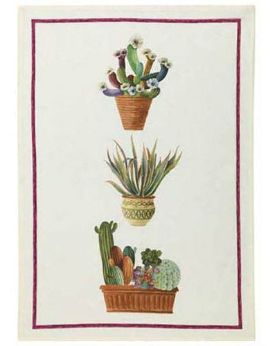 Canovaccio Kactus- Viola