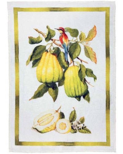 Canovaccio Limoncello - Cedro