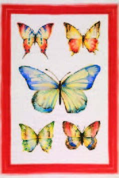 Papillon Rosso 