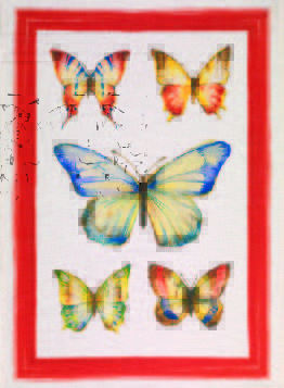 Papillon Rosso