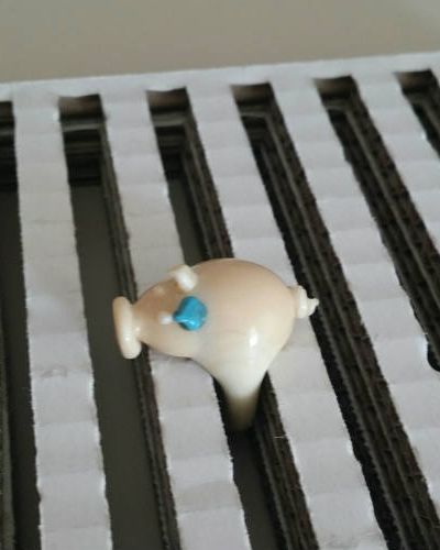 Sus Domesticus - Porcellino