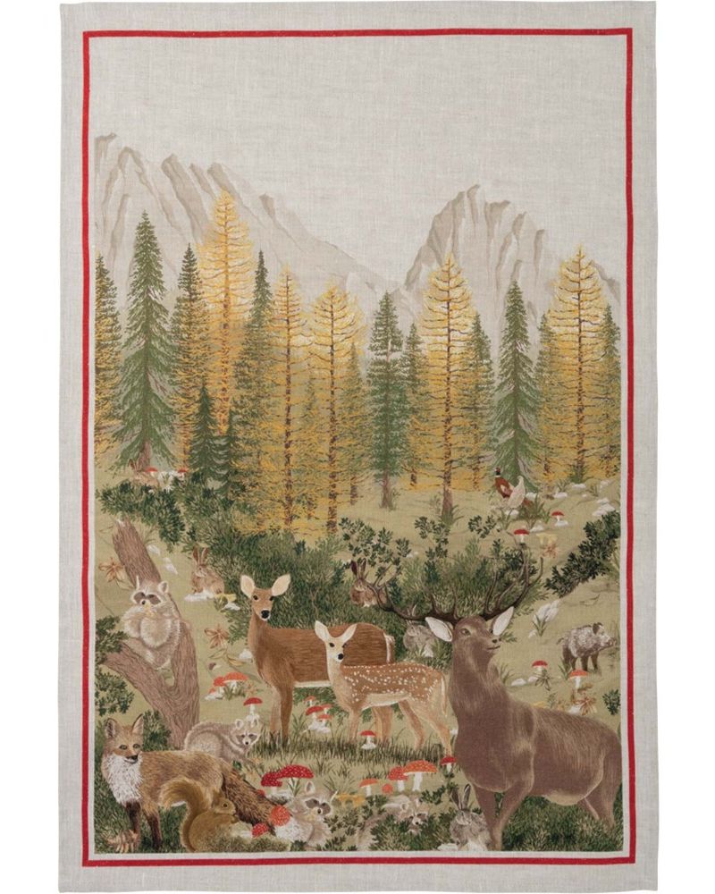 Canovaccio Kactus- Arancia