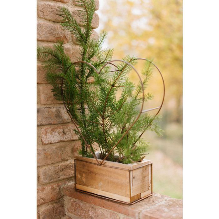 Set 2 Portapianta Profilo Cuore