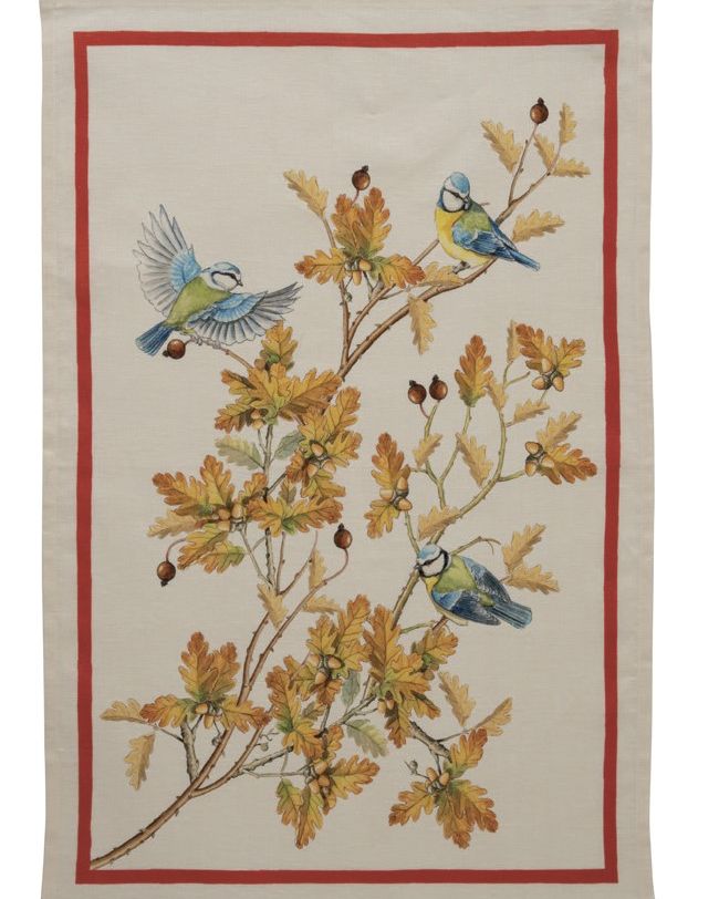 Cardellino Canovacci