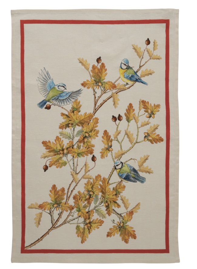 Cardellino Canovacci