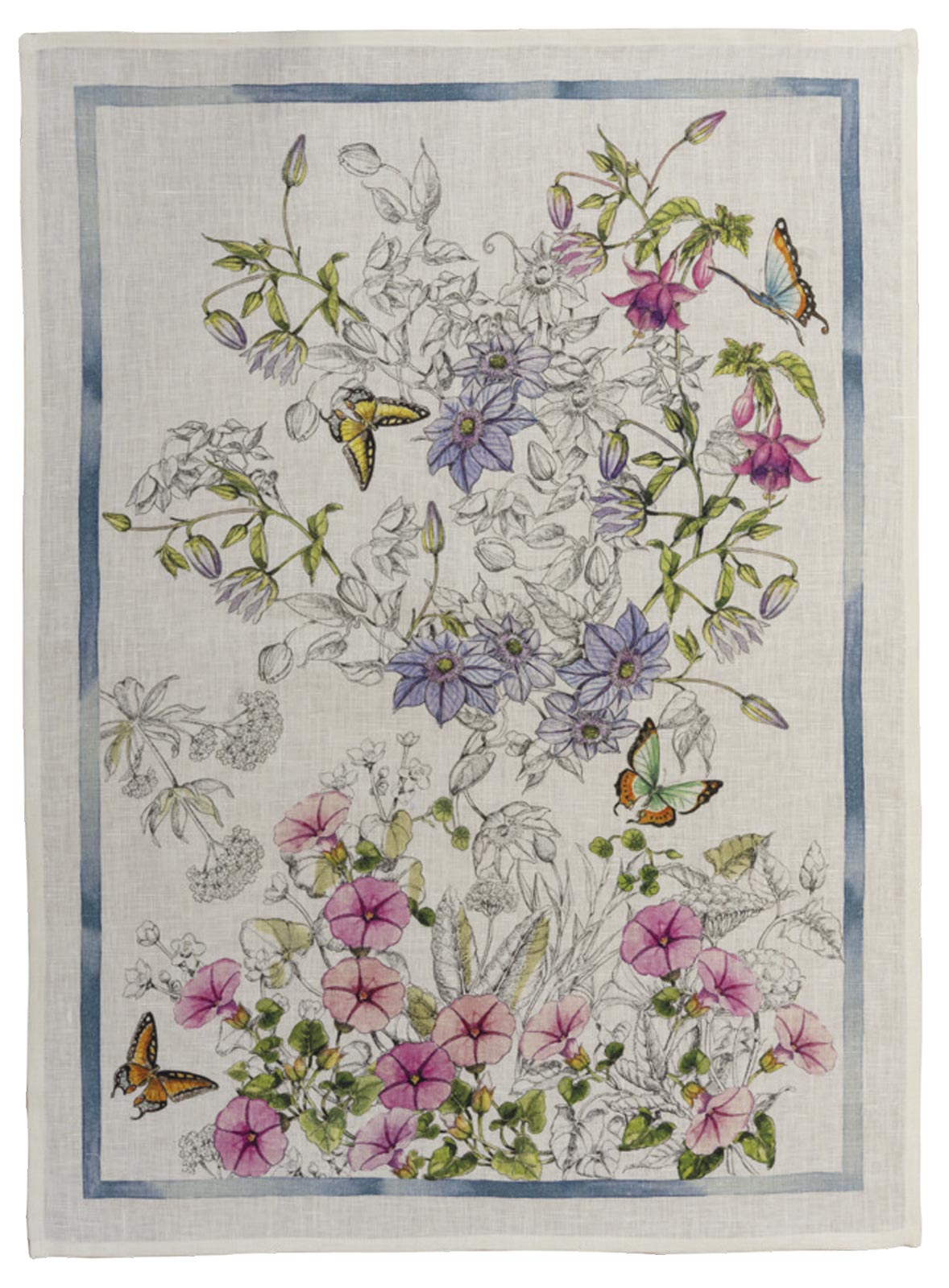 Gravure Canovacci