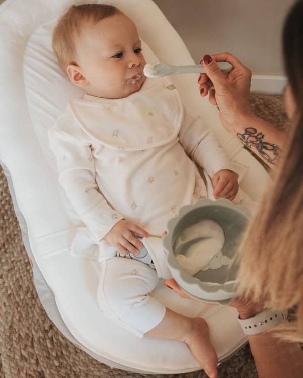 First meal set - ANIMAL FRIENDS 236