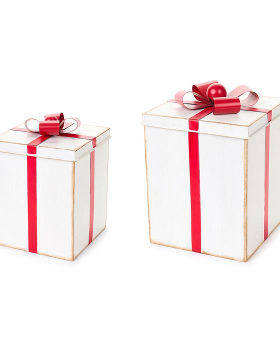 Set 2 Scatole in Metallo