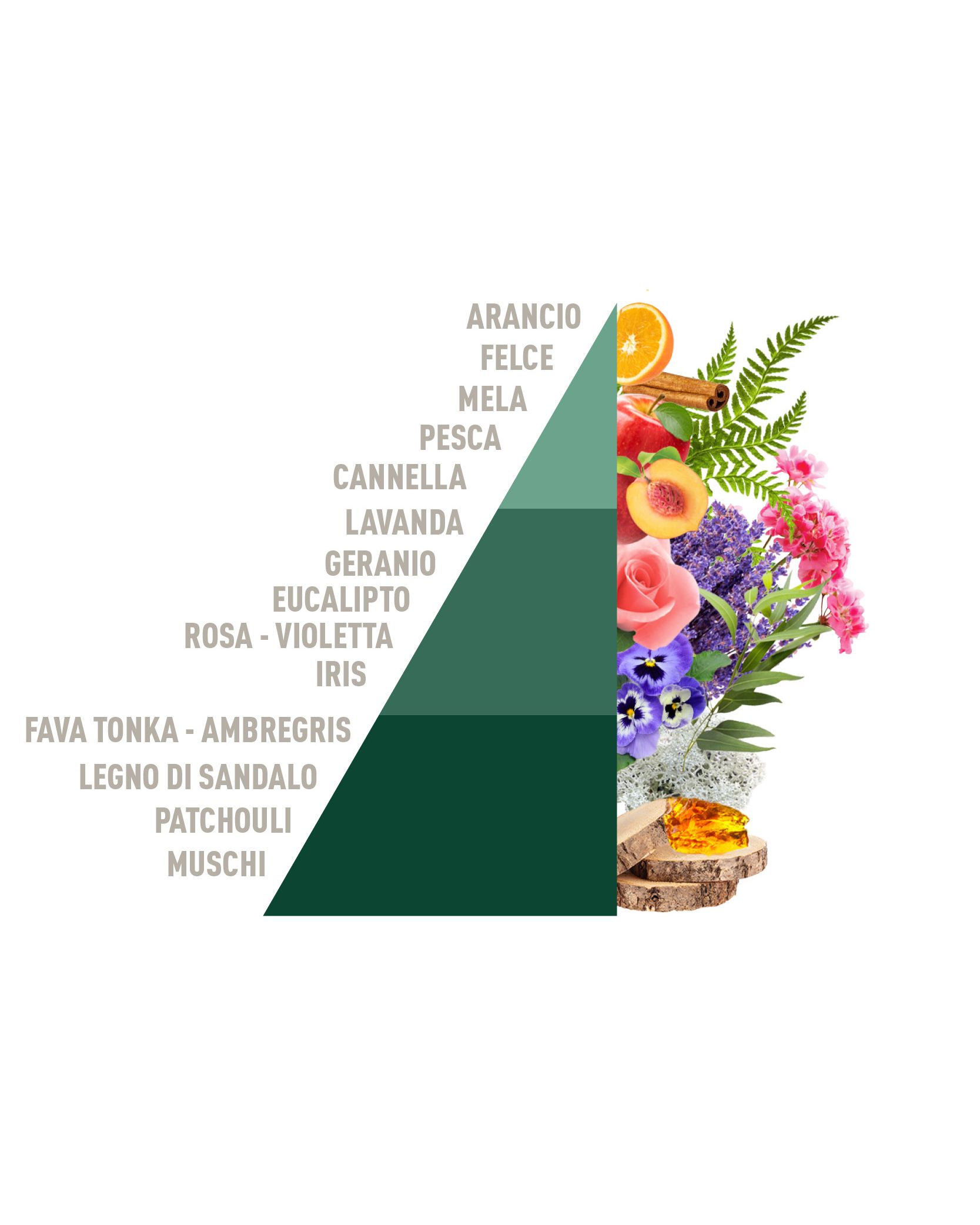 Profuma Bucato Brezza d'Autunno