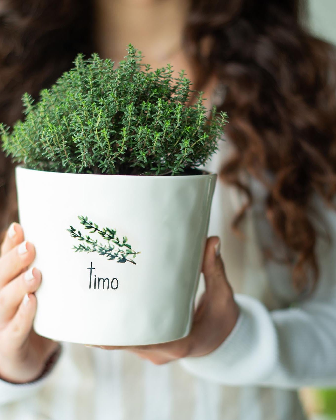 Vaso Timo, con sottovaso