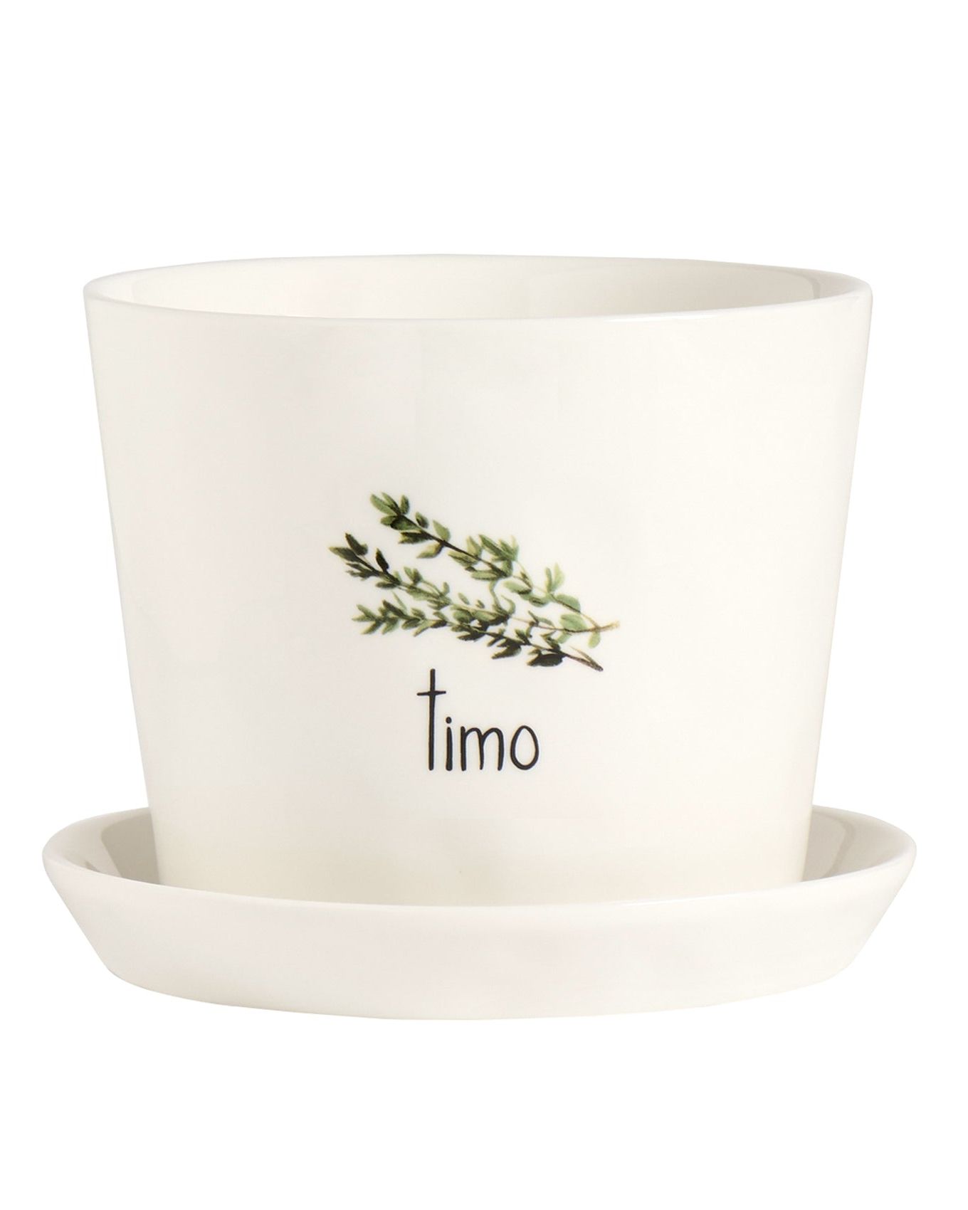 Vaso Timo, con sottovaso