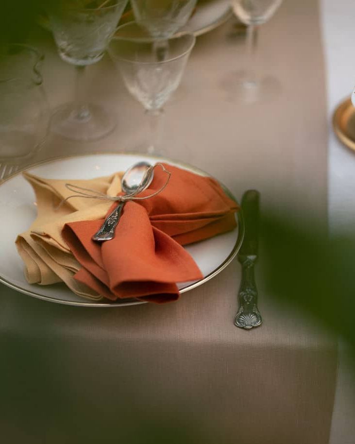 Tiziano Tovagliolo in Lino