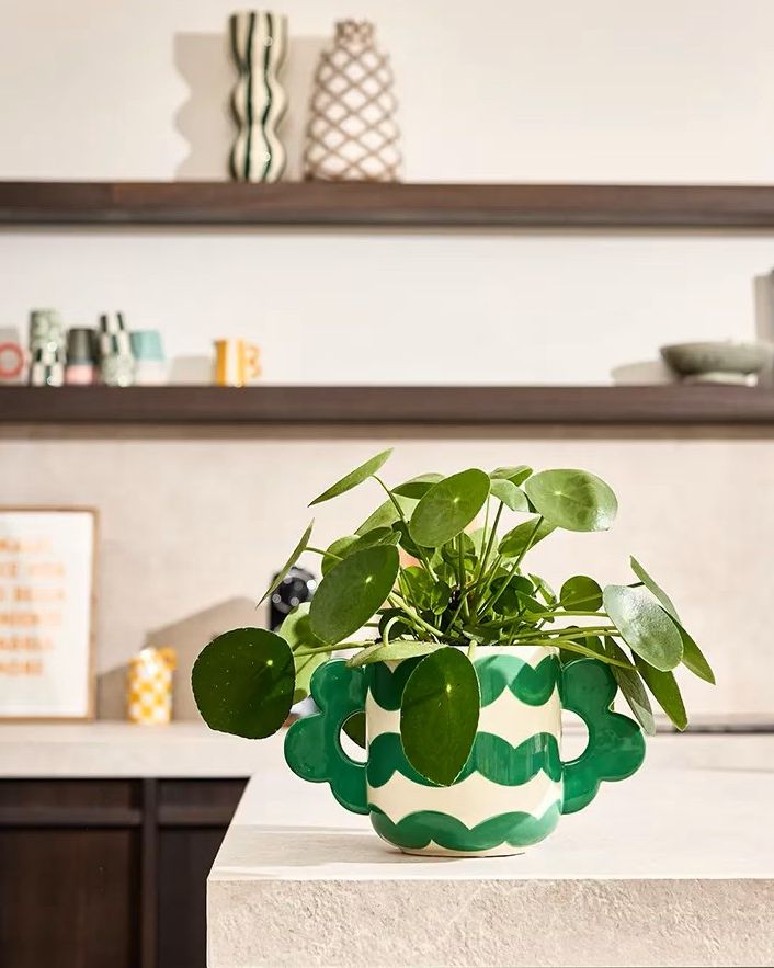 Jacinta Vaso - Wavy Rumba