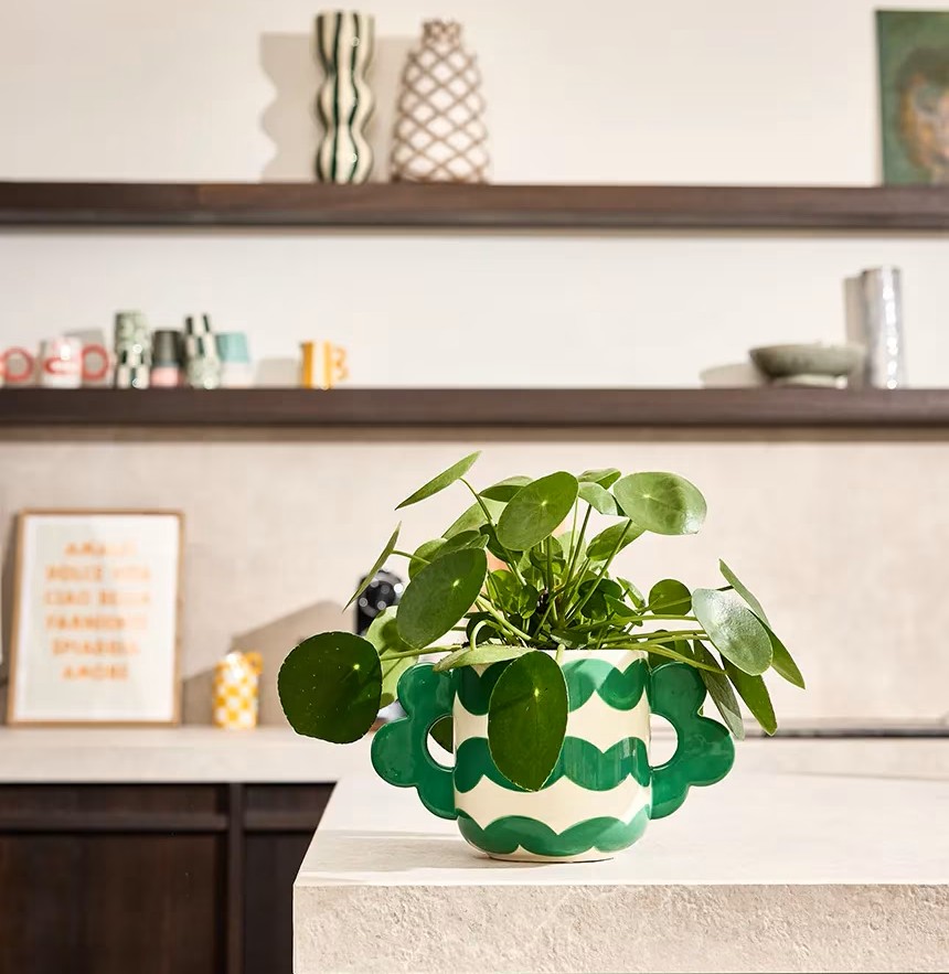 Jacinta Vaso - Wavy Rumba