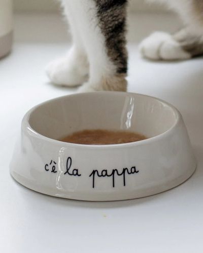 Ciotola per animali C'è la pappa - S